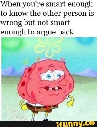 When You Re Smart Enough To Know The Other Person Is Wrong But Not Smart Enough To Argue Back