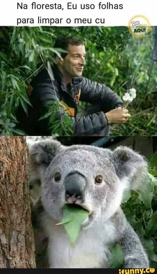 Na floresta, Eu uso folhas
para limpar o meu cu