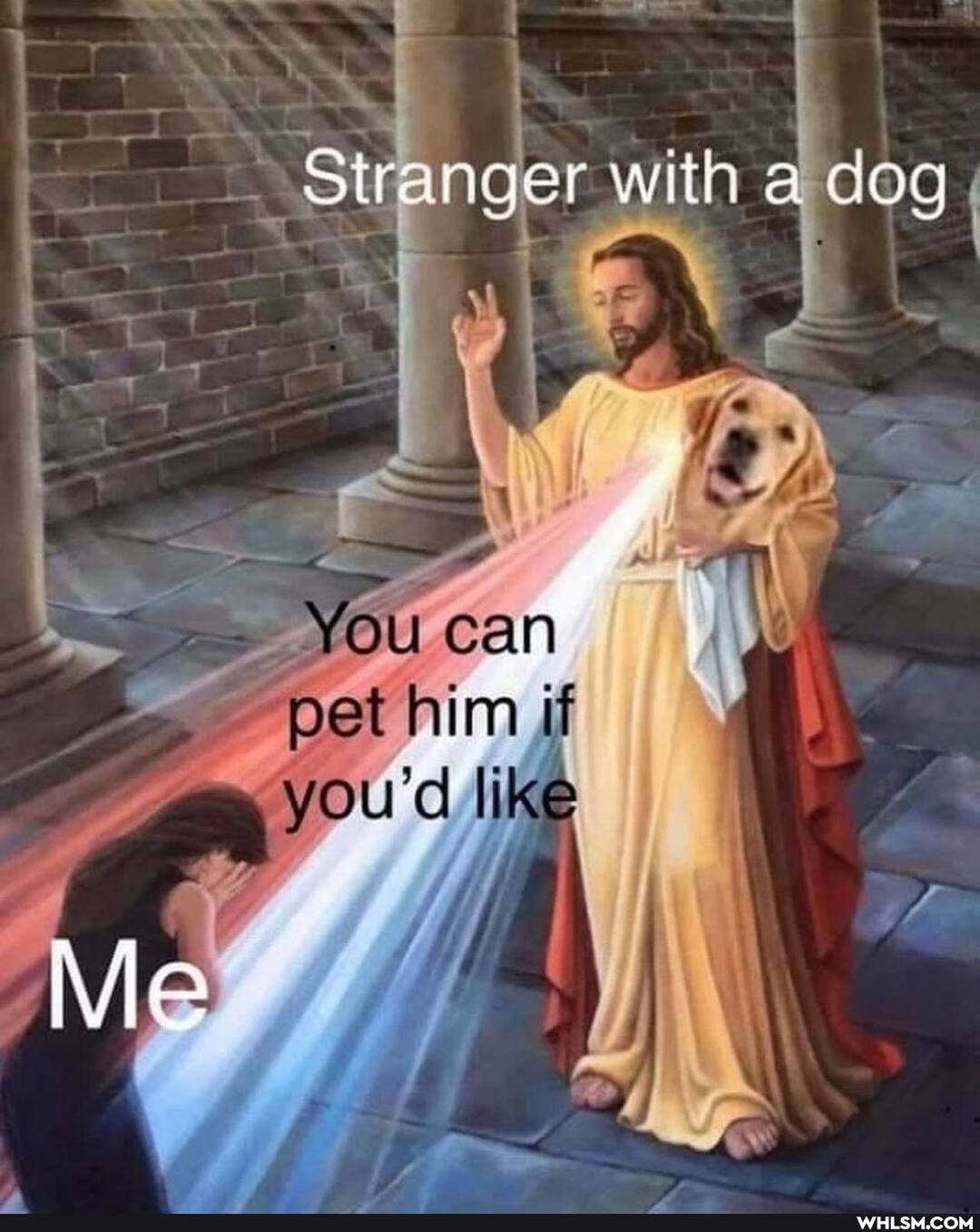 Stranger with dog
You pet him you'd like