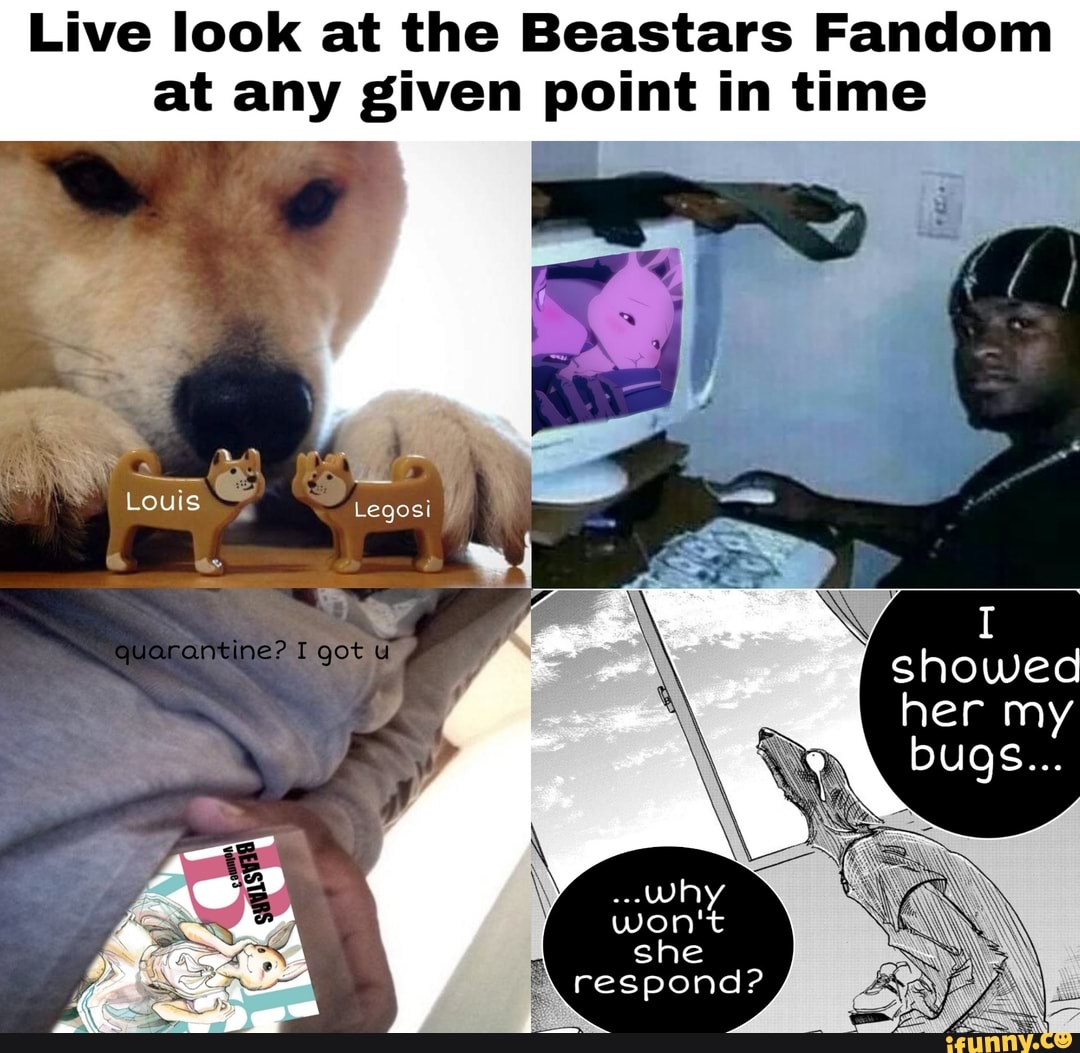 live-look-at-the-beastars-fandom-at-any-given-point-in-time-ifunny-brazil