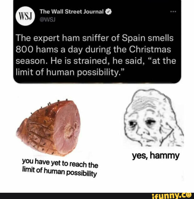 Hammy memes. Best Collection of funny Hammy pictures on iFunny
