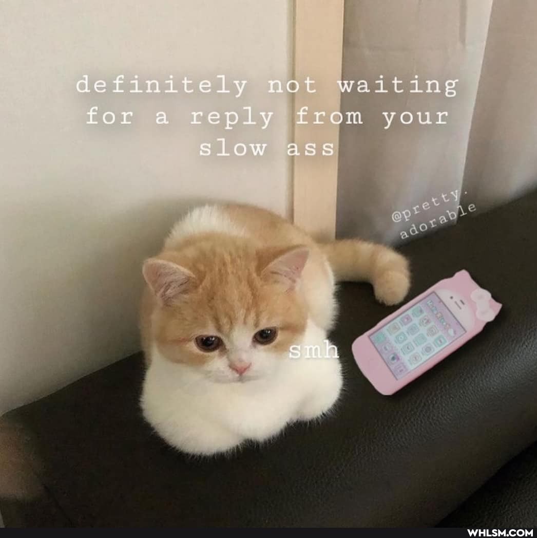 def itely ol waiting
from your
Ow ass