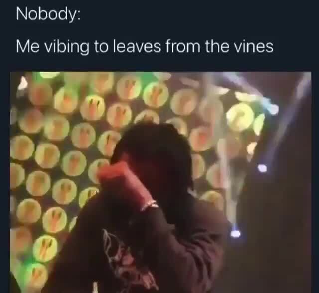 Vines Memes Best Collection Of Funny Vines Pictures On Ifunny