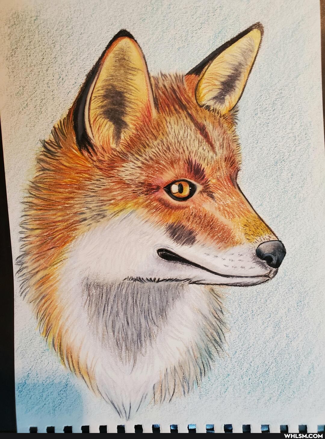 artcrawl, artcrawl2021, artist, art