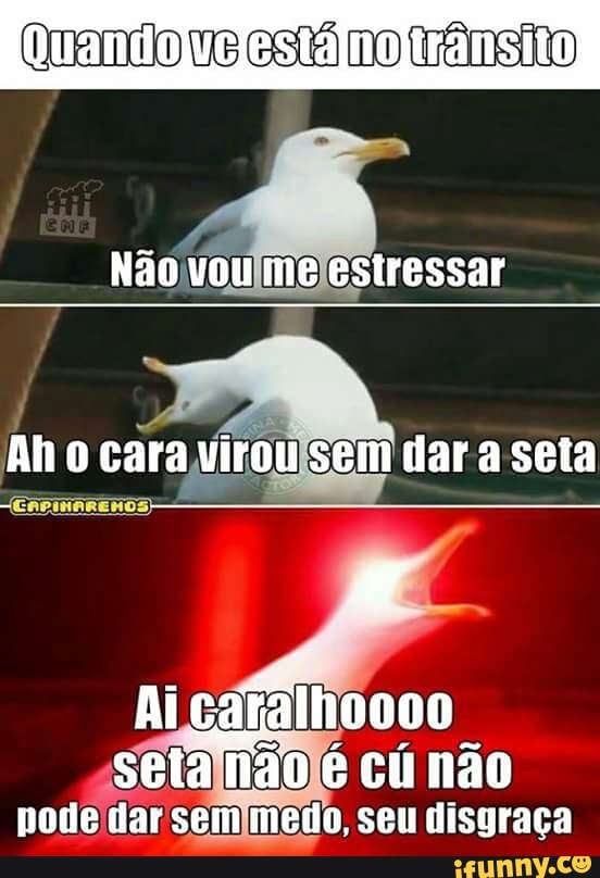 an o cara virouisem dar a seta
ssetamaojé cú não