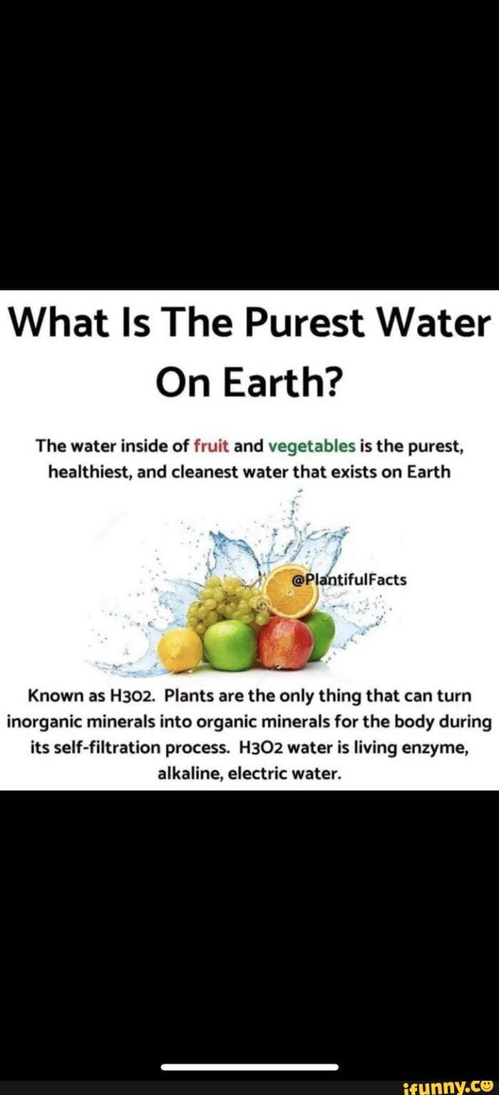 What Is The Purest Water On Earth? The water inside of fruit and