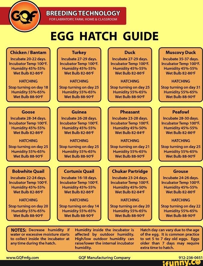 BREEDING TECHNOLOGY FOR LABRATORY, FARM, HOME CLASSROOM, EGG HATCH