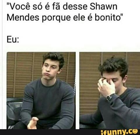 "Você só é fã desse Shawn
Mendes porque ele é bonito"