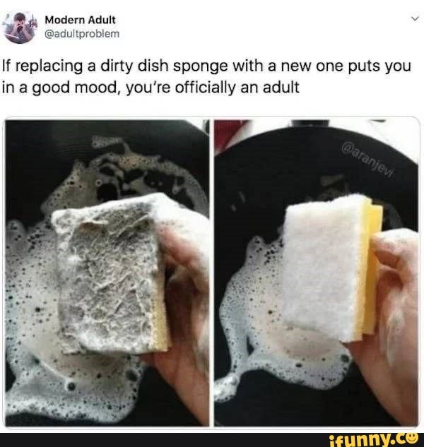 If replacing a dirty dish sponge with a new one puts you
in a good mood, you're officially an adult