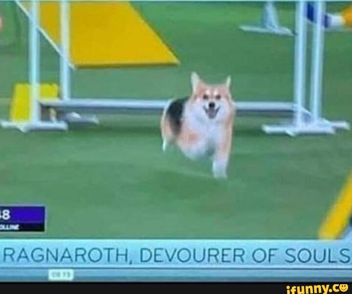 RAGNAROTH, DEVOURER OF SOULS - iFunny