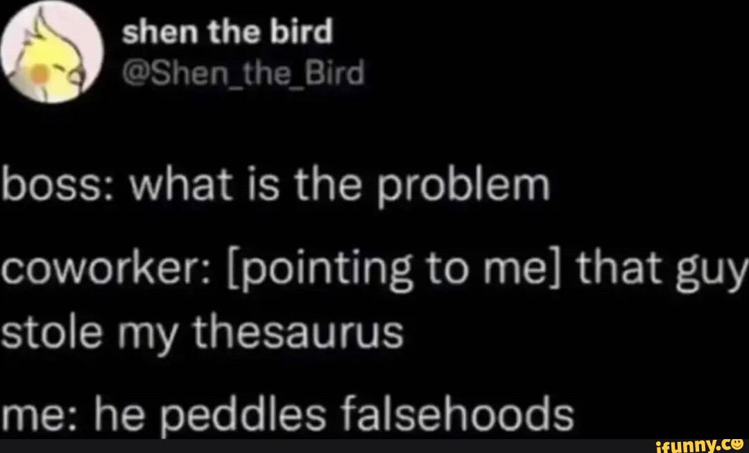 Shen the bird boss what is the problem coworker [pointing to me] that