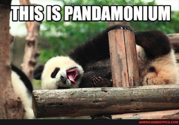 UM
THIS PANDAMONI