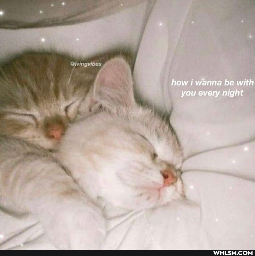 @lvingvibes
how jj wanna be with you every night