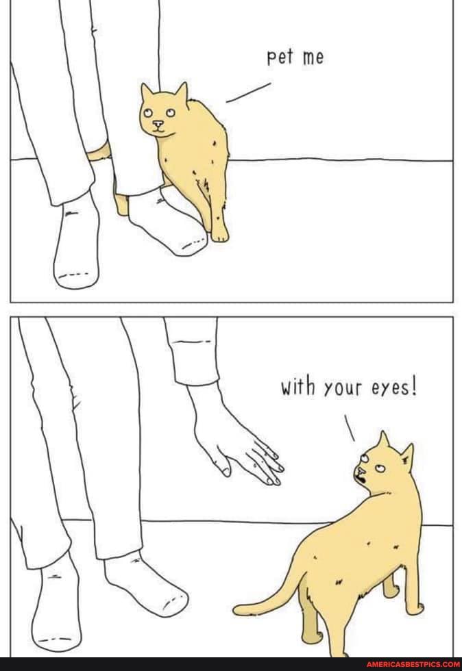 Pet me
SS
with your eyes!