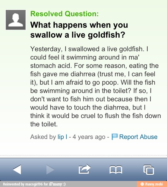 Resolved Question:
What happens when you
swallow
a live goldfish?
Yesterday, I swallowed a live goldfish. I
could feel it swimming around in ma'
stomach acid. For some reason, eating the
fish gave me diahrrea (trust me, I can feel
it), but I am afraid to go poop. Will the fish
be swimming around in the toilet? If so, I
don't want to fish him out because then I
would have to touch the diahrrea, but I
think it would be cruel to flush the fish down
the toilet.
Asked by lip I- 4 years ago ™ Report Abuse