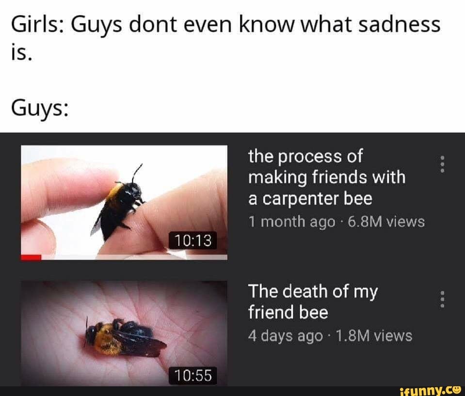 Girls: Guys dont even know what sadness
Guys:
the process of
making friends with
a carpenter bee
1 month ago 6.8M views
The death of my
friend bee
4 days ago
1.8M views