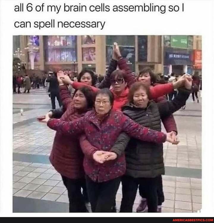 all 6 of my brain cells assembling so I can spell necessary
Cer) dare 12.5
