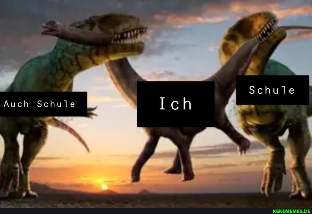 _ Schule
Auch Schule h f