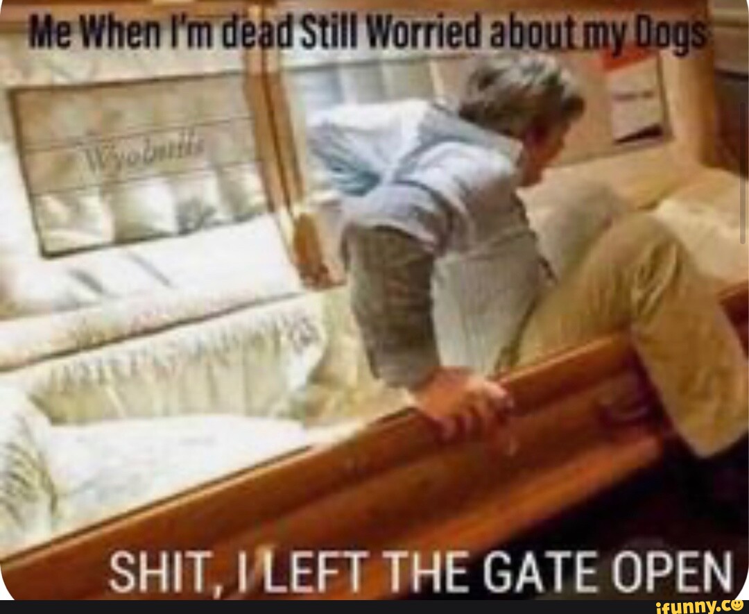 All SHIT, VLEFT THE GATE OPEN, - iFunny