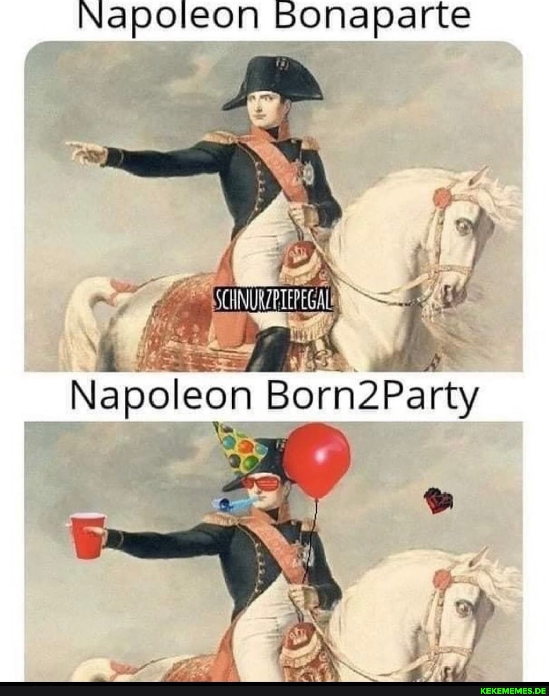 Napoleon Bonaparte Napoleon Born2Party