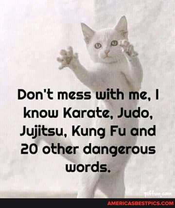 Don't mess with me, I know Karate, Judo,
Jujitsu, Kung Fu and
20 other dangerous words.