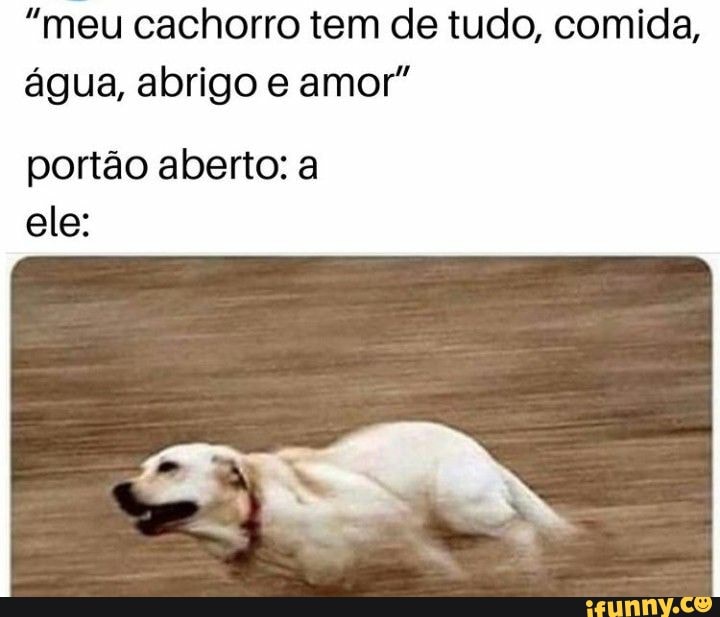 "meu cachorro tem de tudo, comida, água, abrigo e amor"
portão aberto: a ele:
pra;