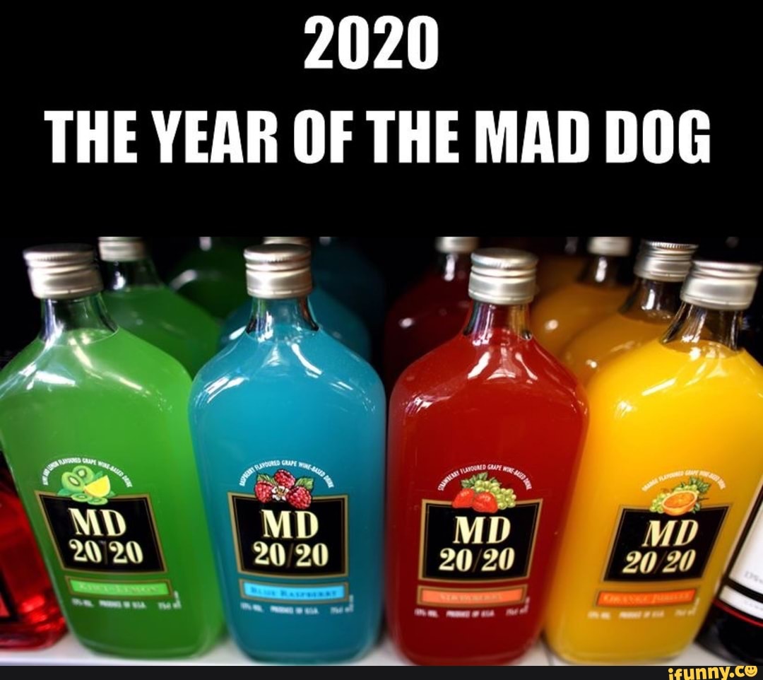 THE YEAR OF THE MAD DOG
sco
I
I
20 20
I 2020 I