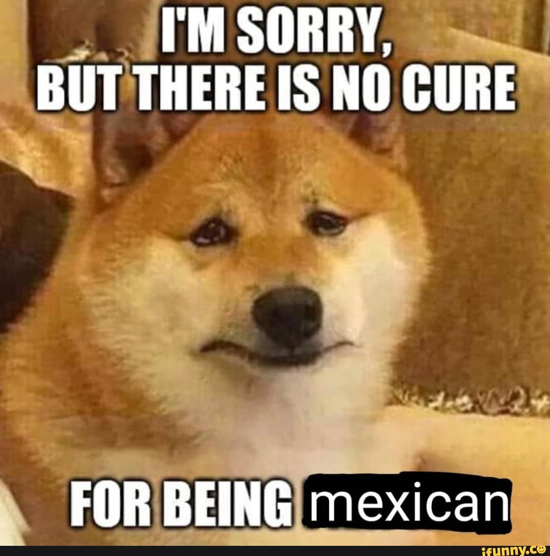 I'M SORRY,
BUT THERE IS NO CURE
FOR BEING mexican