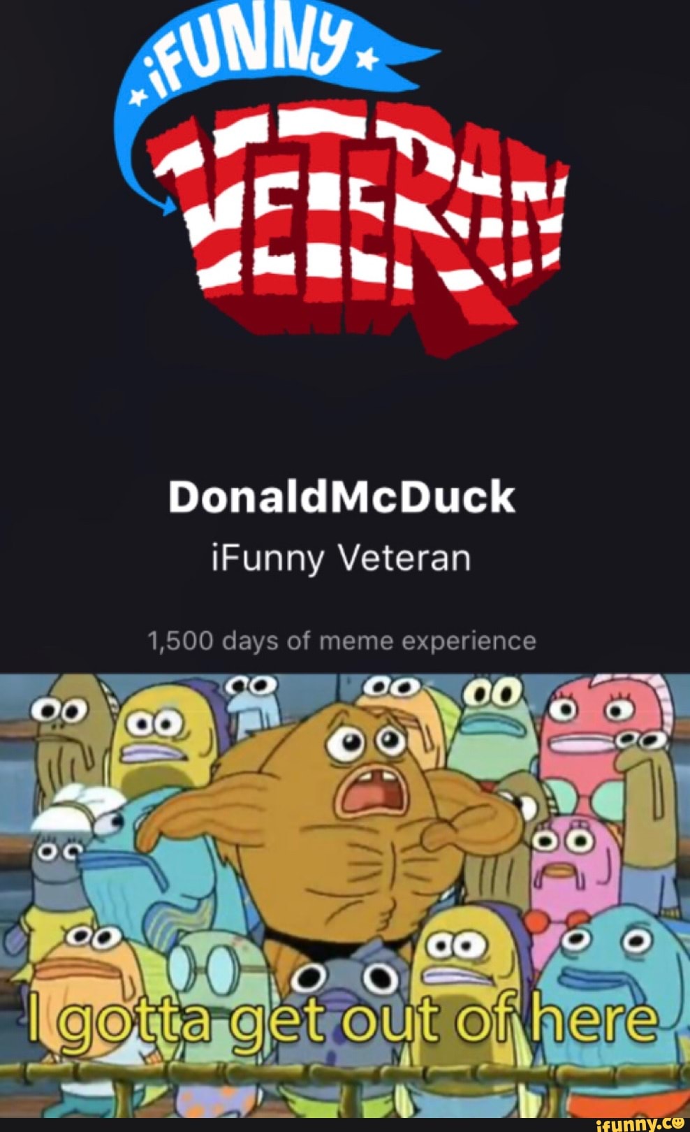 wt sS,
DonaldMcDuck iFunny Veteran
1,500 days of meme experience