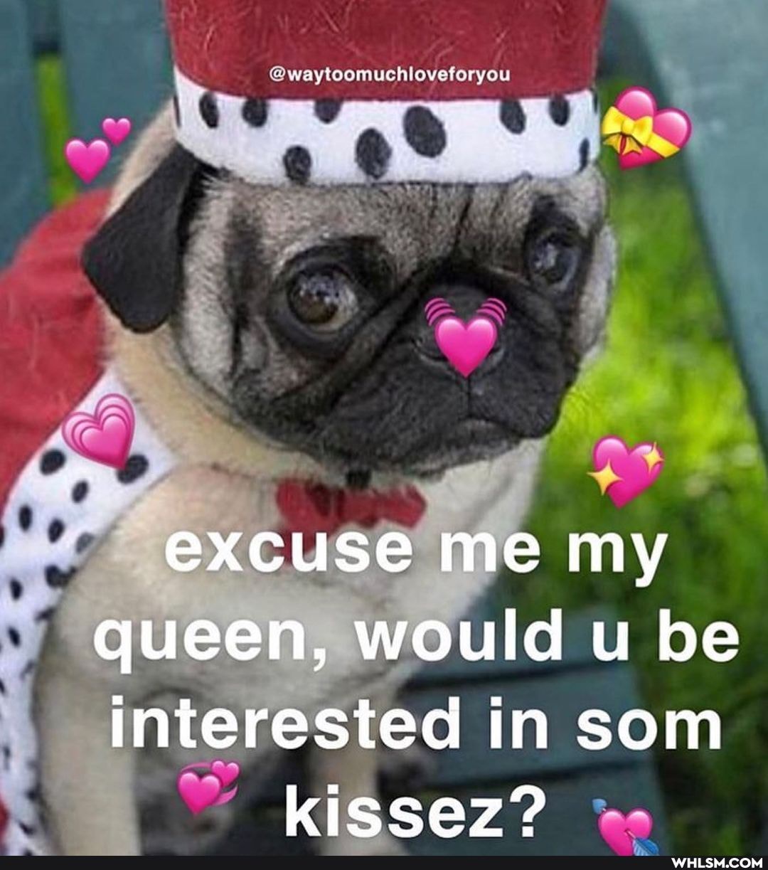 @waytoomuchloveteryou
ANS
AN
excuse me my
queen, would u be
interested in som kissez?