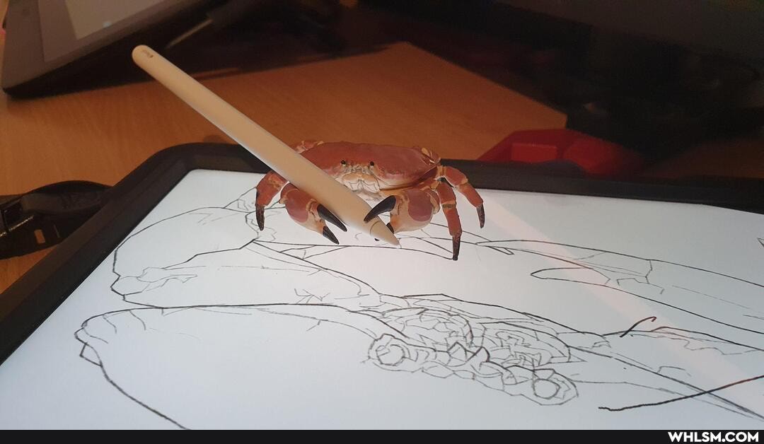 crab