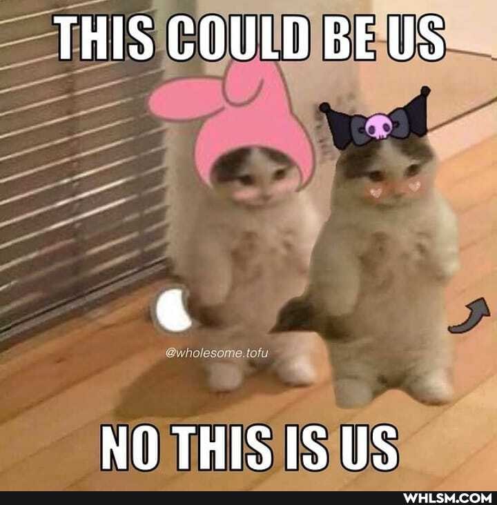 THIS COULD RE
wholesome tory
NO THIS IS US