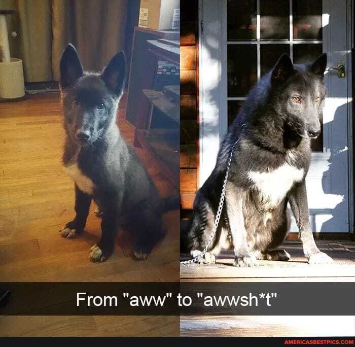From "aww" to "awwsh*t"