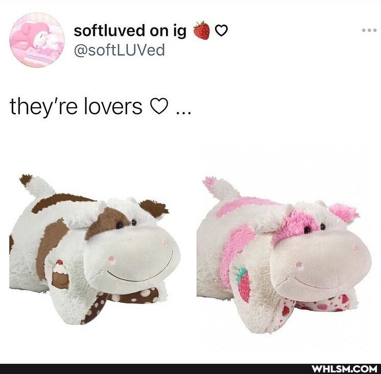 they're lovers
