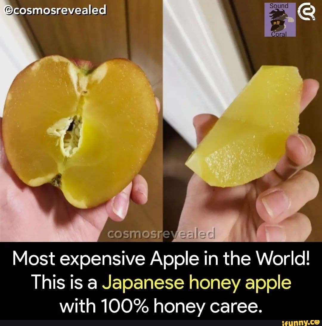 Osmosrevealed Most expensive Apple in the World! This is a Japanese