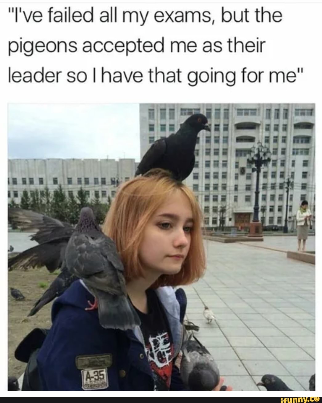 "I've failed all my exams, but the
pigeons accepted me as their
leader so I have that going for me"