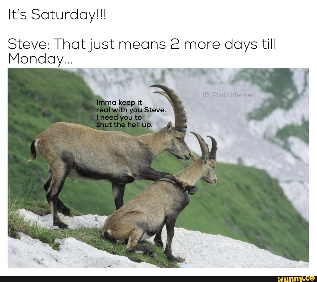 It's Saturday!!!
Steve: That just means 2 more days till
Monday...
real with you Steve. \ you to shut the hell up.