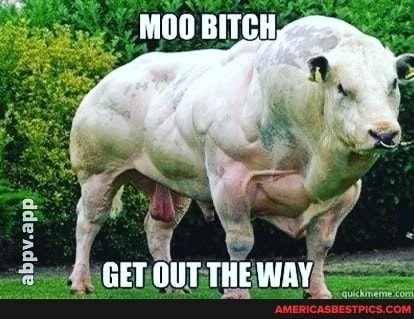 moo
GET OUT THE WAY