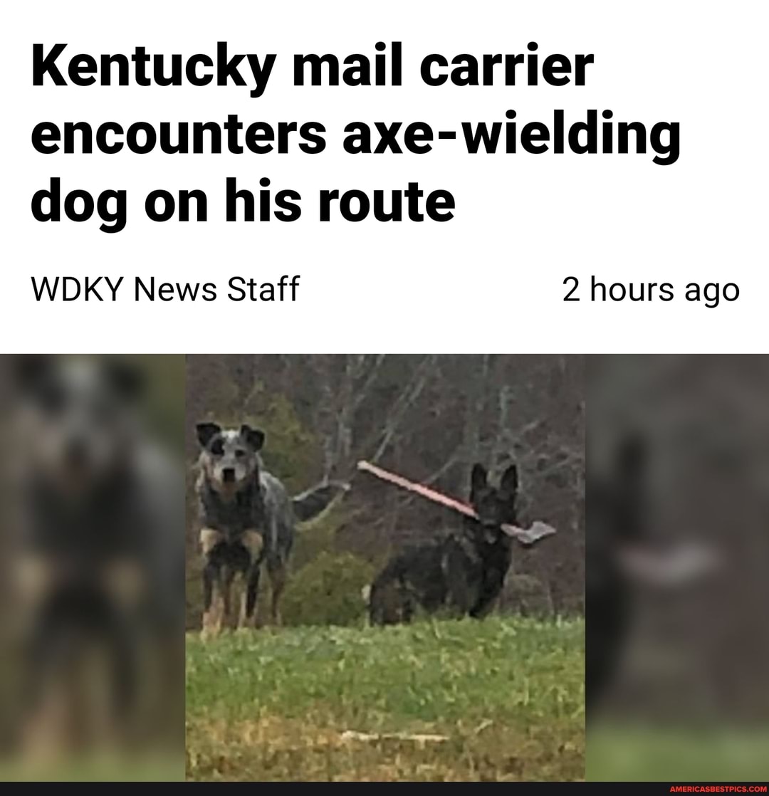 Kentucky mail carrier encounters axe-wielding
dog on his route
WDKY News Staff 2 hours ago