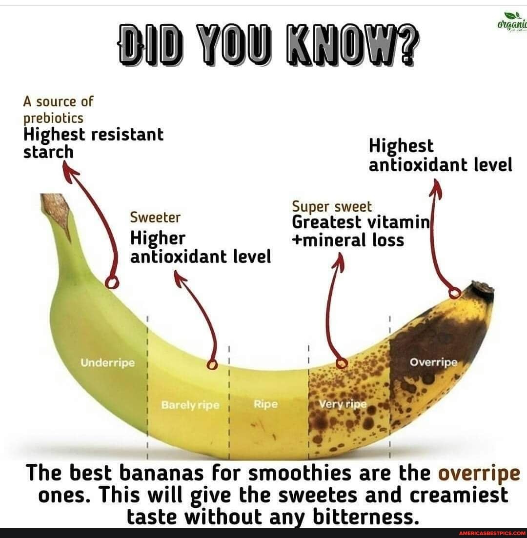 DD YOU KNOW? source of prebiotics Highest resistant starch Highest
