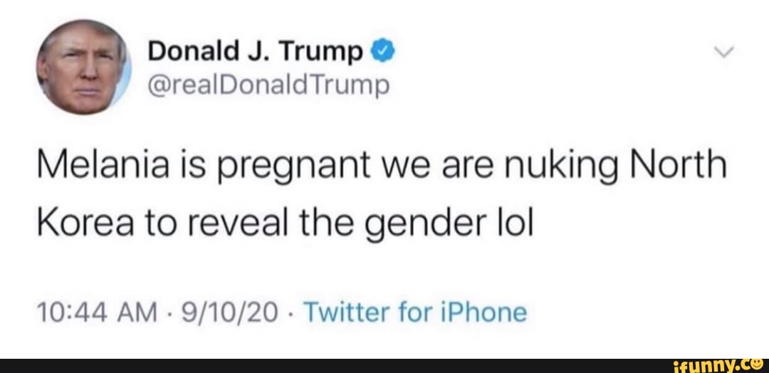 Melania is pregnant we are nuking North
Korea to reveal the gender lol
AM - - Twitter for iPhone