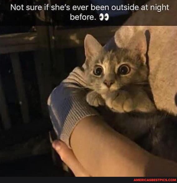 Not sure if she's ever been outside at night before. 99