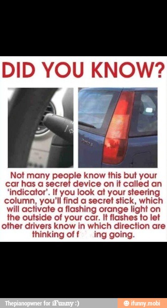 DID YOU KNOW?
Not many people know this but your
car has a secret device on it called an
'indicator'. If you look at your steering
column, you'll find a secret stick, which
will activate a flashing orange light on
the outside of your car. It flashes to let
other drivers know in which direction are
thinking off ing going
