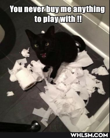 You never -huy me anything to play.with