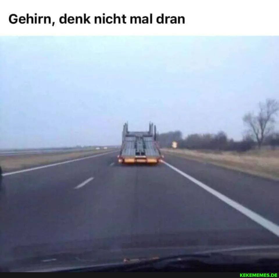 Gehirn, denk nicht mal dran