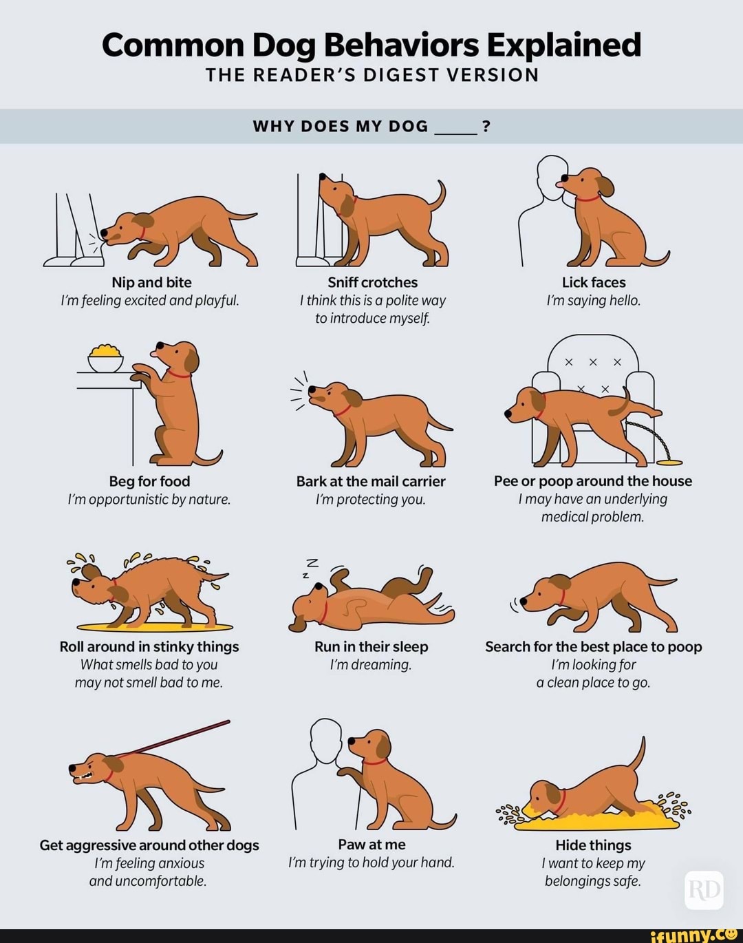 learned behaviors of dogs        <h3 class=