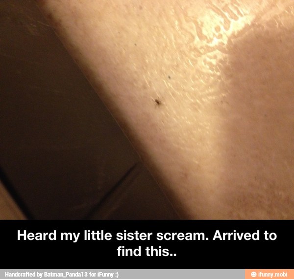 Heard my little sister scream. Arrived to
find this.. - Heard my little sister scream. Arrived to find this..