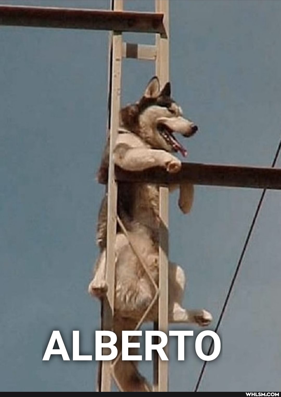 ss
A BERTO I BERTO BERTO