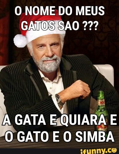 O GATO E O SIMBA