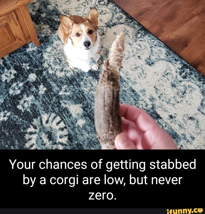 Picture memes kZgAbDO0A by Gosei_Blade_Knight_RRA )